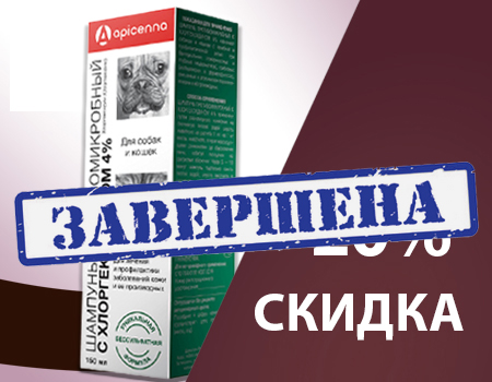 Скидка 20% на шампунь с хлоргексидином Скидка 20% на шампунь с хлоргексидином