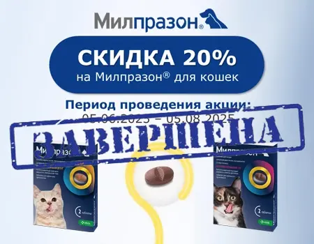 Милпразон: скидка 20% Милпразон: скидка 20%