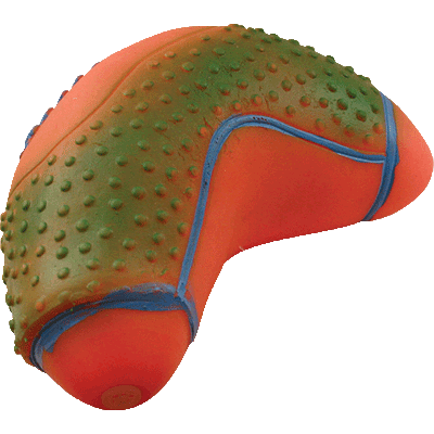 Игрушка "Мяч-рэгби" изогнутый 13см Зооник (164101)