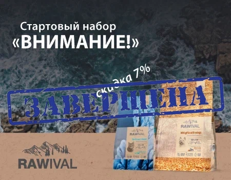 Стартовый набор бренда Rawival  «Внимание!»  Стартовый набор бренда Rawival  «Внимание!»