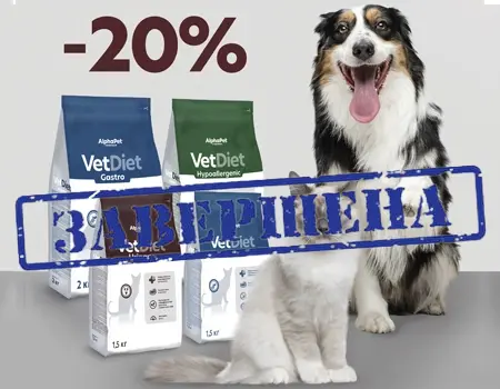 AlphaPet Vet Diet: скидка 20% на ветеринарные диеты AlphaPet Vet Diet: скидка 20% на ветеринарные диеты