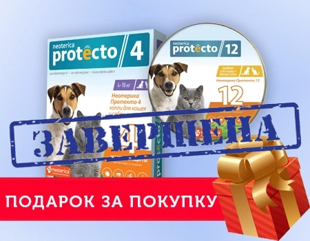 PROTECTO: подарок за покупку