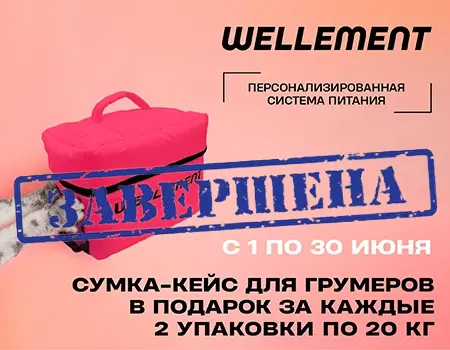 Wellement: сумка-кейс в подарок