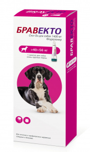 Бравекто СпотОн  (MSD Animal health) 1400мг (1пип) от блох и клещей для собак 40-56кг (на 12 недель) (ЛИЦЕНЗИЯ) фото Бравекто СпотОн  (MSD Animal health) 1400мг (1пип) от блох и клещей для собак 40-56кг (на 12 недель) (ЛИЦЕНЗИЯ) фото