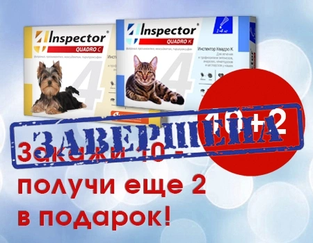 Inspector: 10 + 2 в подарок