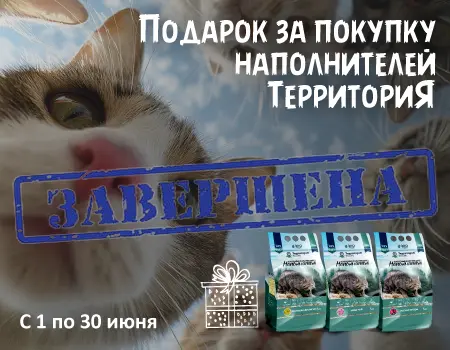 ТерриториЯ: подарок при покупке наполнителей ТерриториЯ: подарок при покупке наполнителей