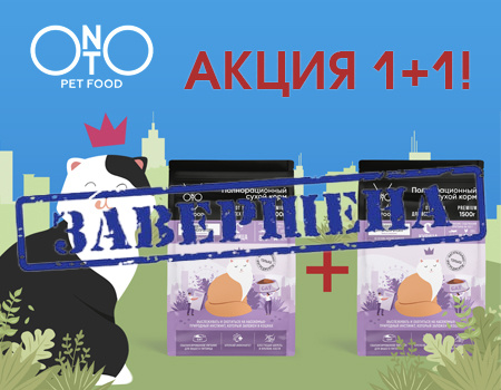 ONTO: акция 1 + 1 на корм для кошек ONTO: акция 1 + 1 на корм для кошек