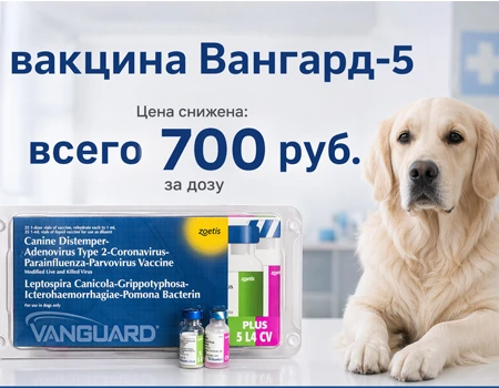 Вангард-5: теперь цена 700р. за дозу! Вангард-5: теперь цена 700р. за дозу!