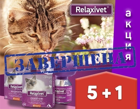 Relaxivet: акция 5 + 1