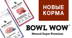 Новые корма для кошек BOWL WOW