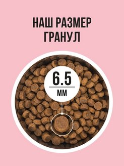 Bowl Wow 0,4кг с индейкой и яблоком сухой для кошек (660071) фото Bowl Wow 0,4кг с индейкой и яблоком сухой для кошек (660071) фото