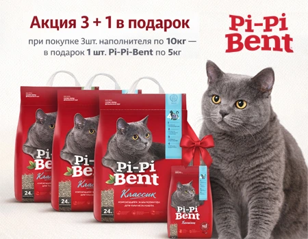 Pi-Pi-Bent: 3 + 1 в подарок