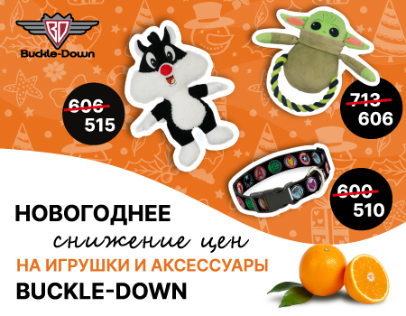 Скидка 15% на продукцию Buckle-Down для клиентов Симбио Москва Скидка 15% на продукцию Buckle-Down для клиентов Симбио Москва