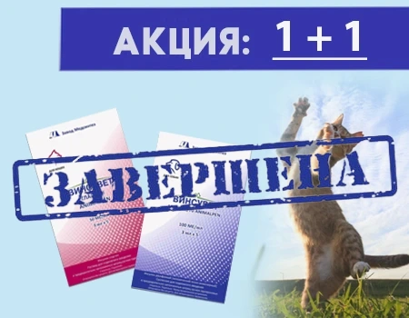 Винсувет: акция 1 + 1
