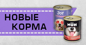 Новинки: корма NUH и JOY в продаже