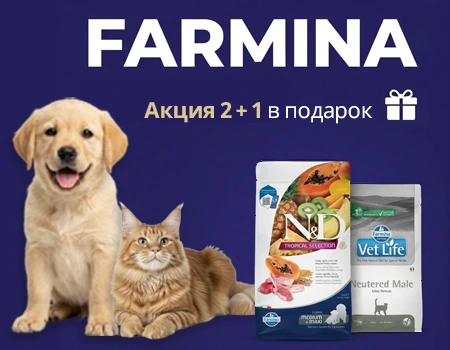Farmina: акция 2 + 1 в подарок Farmina: акция 2 + 1 в подарок
