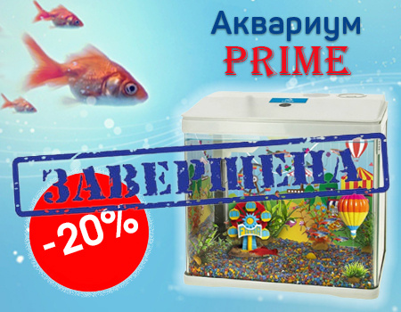 Аквариумы PRIME: скидка 20% Аквариумы PRIME: скидка 20%