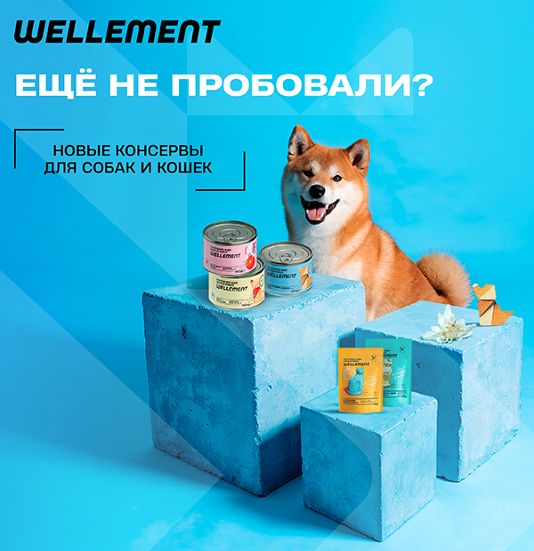 Wellement: новые консервы в продаже