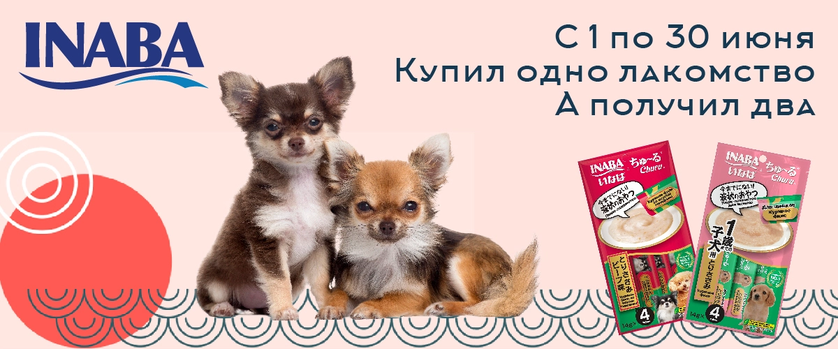 Inaba Churu: 1 + 1 в подарок