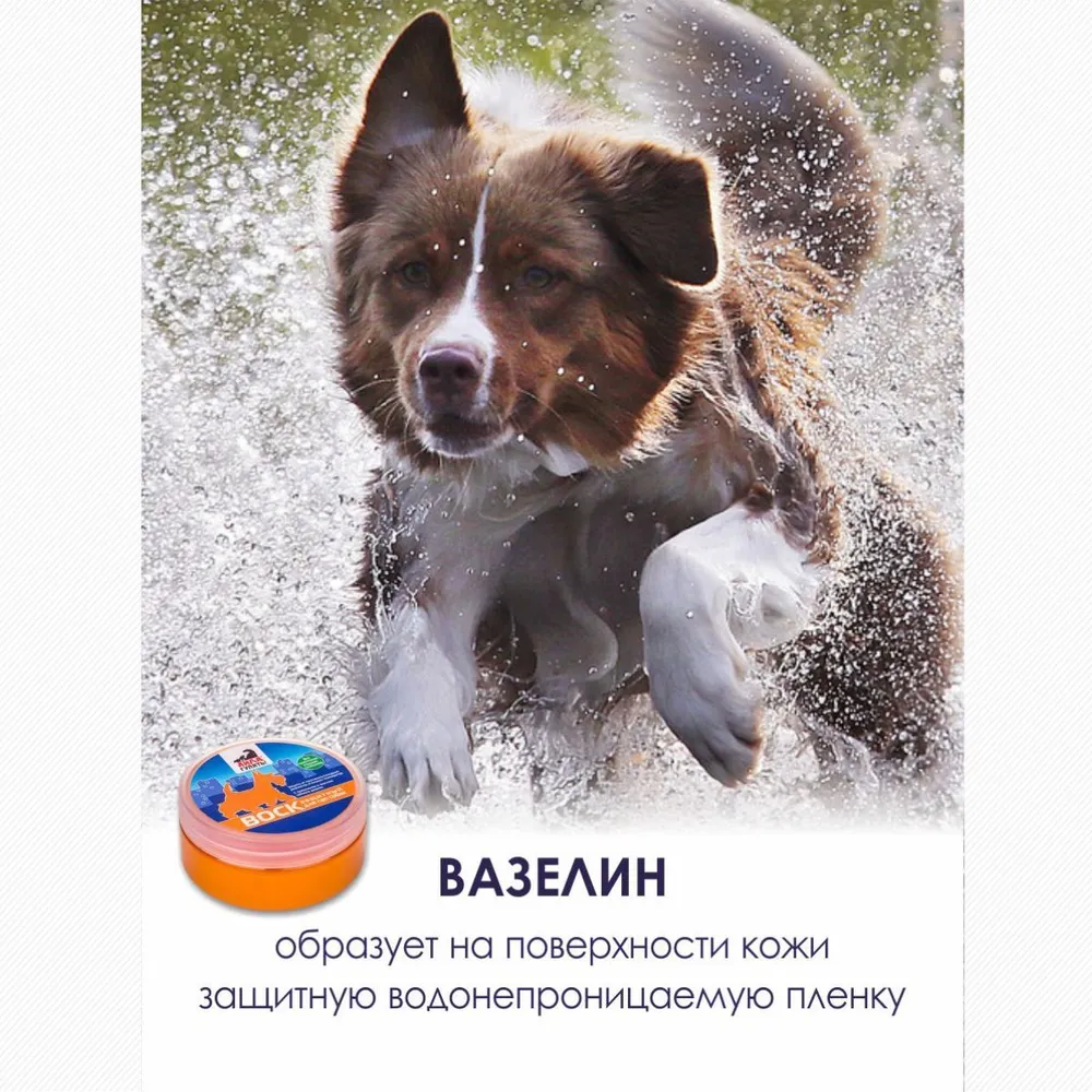 Воск (Айда гулять) 100г защитный для лап собак, купить оптом в Москве,  цена, характеристики, описание - Симбио - ЗооЛэнд