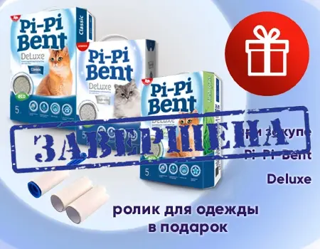 Pi-Pi-Bent DeLuxe: промо-наборы с подарком Pi-Pi-Bent DeLuxe: промо-наборы с подарком