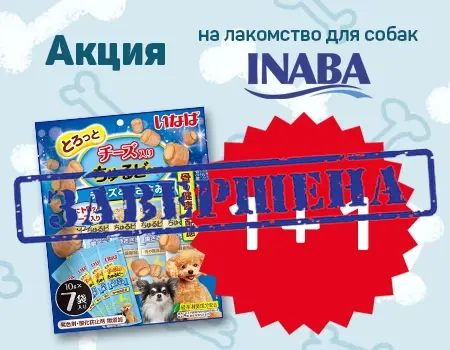 Акция 1 + 1 на лакомство для собак Inaba Churu Bee