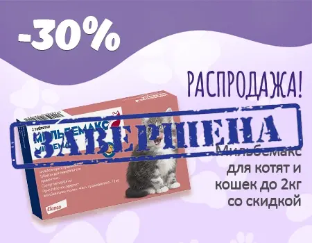 Мильбемакс: всего за 100 рублей! Мильбемакс: всего за 100 рублей!