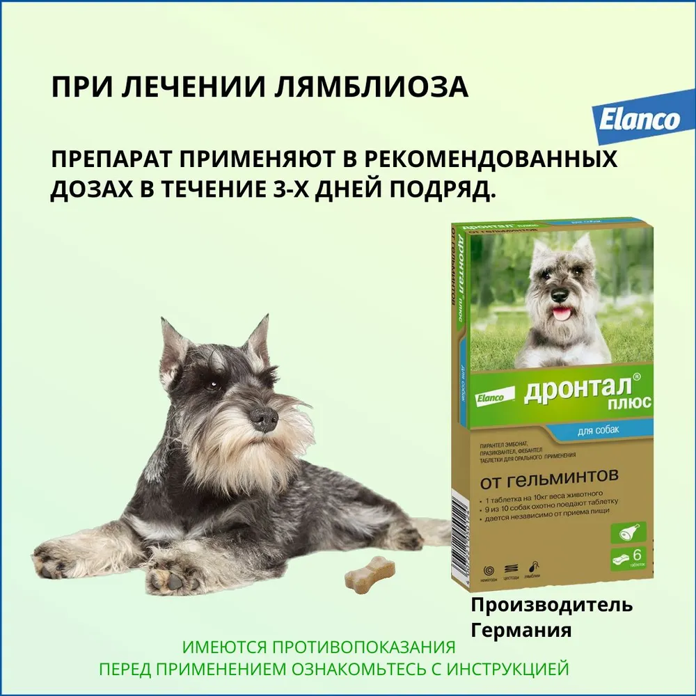 Дронтал Плюс для собак, 1 таб. на 10 кг (1х 6таб), упак (ЛИЦЕНЗИЯ), купить  оптом в Москве, цена, характеристики, описание - Симбио - ЗооЛэнд