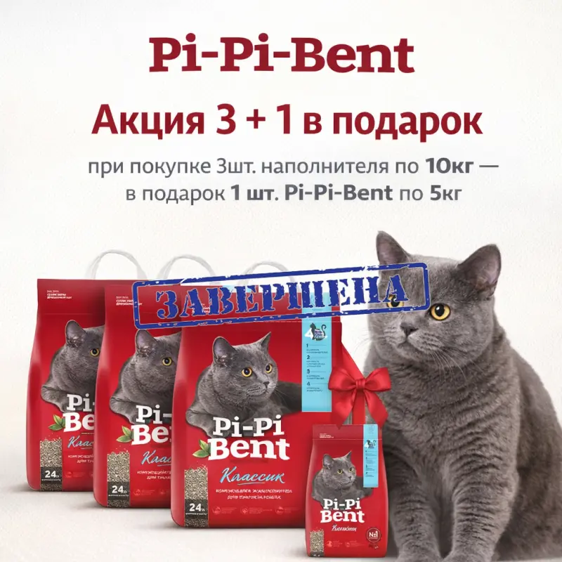 Pi-Pi-Bent: подарок при закупе 3 шт. наполнителей по 10кг