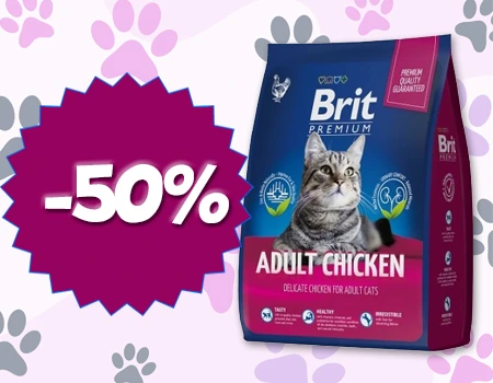 BRIT Premium: скидка 50%