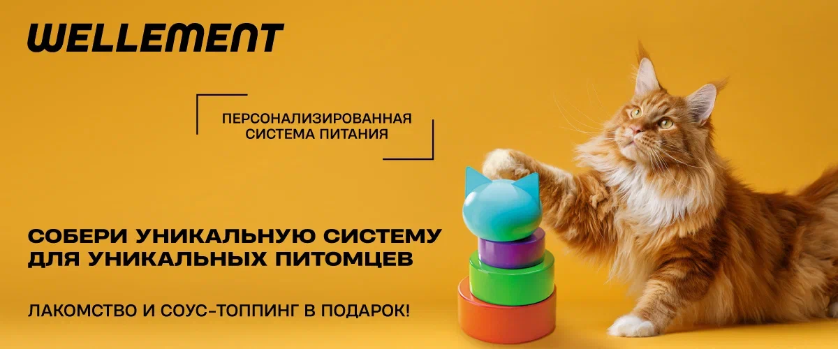 Подарок за покупку. Собери систему питания Wellement