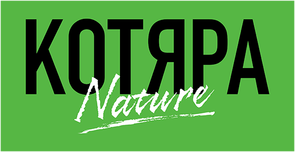 Наполнитель (Котяра) 8,4кг/20л для кошек