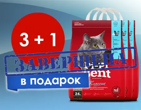 Pi-Pi-Bent: акция 3 + 1  Pi-Pi-Bent: акция 3 + 1