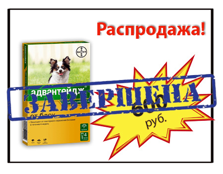 Распродажа Адвантейдж!