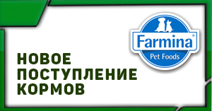 FARMINA: новое поступление в апреле FARMINA: новое поступление в апреле