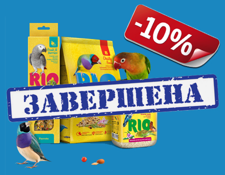 RIO: скидка 10%