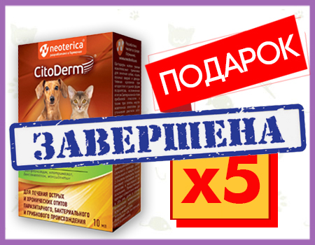 Citoderm: лосьон в подарок при покупке