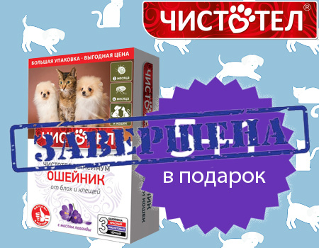 Чистотел: акция 5 + 1 на ошейники