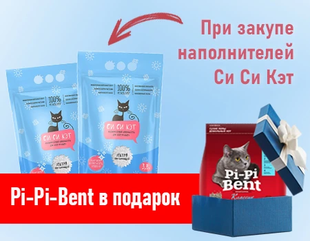 СиСиКэт: подарок за покупку