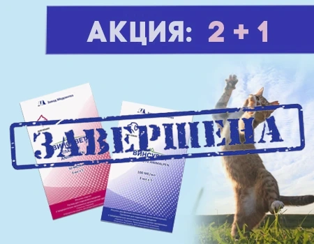 Винсувет: 2 + 1 в подарок