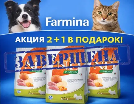 Farmina: акция 2 + 1 в подарок