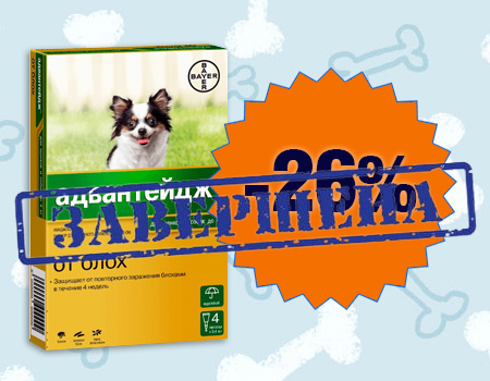 Адвантейдж: скидка 26% на противопаразитарные капли для собак