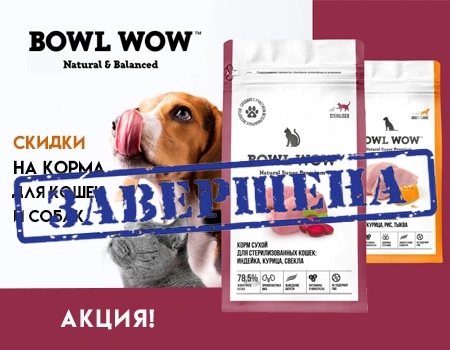 Bowl Wow: скидки на корма