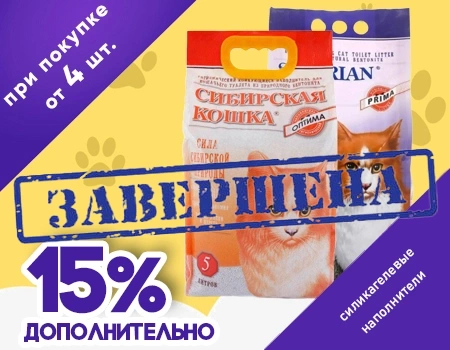 Сибирская кошка: дополнительная скидка 15% при закупе от 4-х штук
