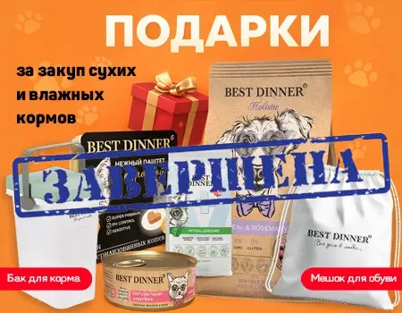 Best Dinner: подарки при закупе сухих и влажных кормов Best Dinner: подарки при закупе сухих и влажных кормов
