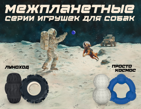 У СИМБИО Москва появился собственный Луноход! Это ПРОСТО КОСМОС, товарищи! У СИМБИО Москва появился собственный Луноход! Это ПРОСТО КОСМОС, товарищи!