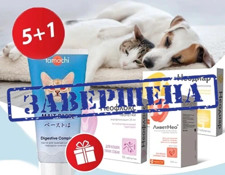 Неодиар, ЛиветНео, Имунозал, НЕОФЛОКС,  Ветопрофен, ХондроНео: акция 5 + 1