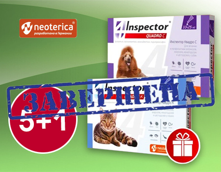 Inspector: 5 + 1 в подарок Inspector: 5 + 1 в подарок