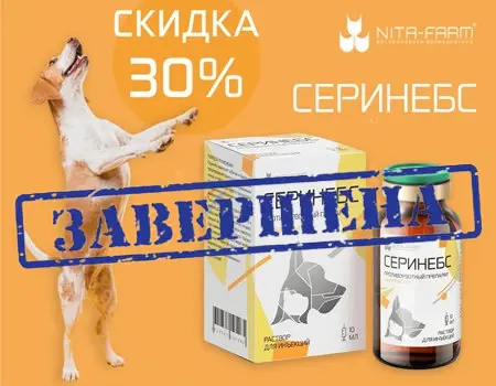 Серинебс: скидка 30% дополнительно Серинебс: скидка 30% дополнительно