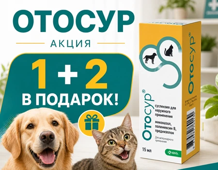 Отосур: акция 1 + 2 в подарок Отосур: акция 1 + 2 в подарок